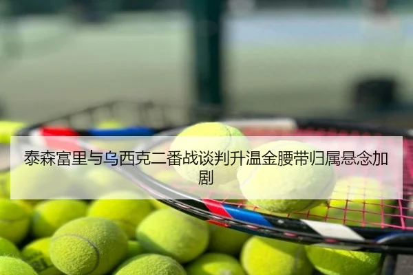 泰森富里与乌西克二番战谈判升温金腰带归属悬念加剧